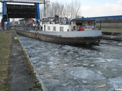 20120211 079.jpg (116.49 Kio) Vu 1386 fois 20120211 079.jpg