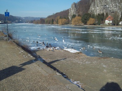 241.jpg (130.77 Kio) Vu 5507 fois 241.jpg