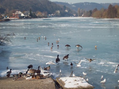 248.jpg (111.58 Kio) Vu 5125 fois 248.jpg