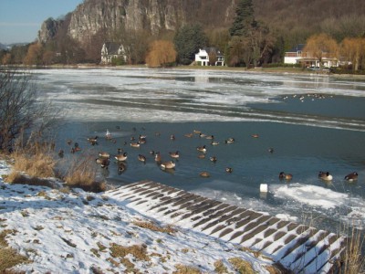 262.jpg (141.86 Kio) Vu 5445 fois 262.jpg