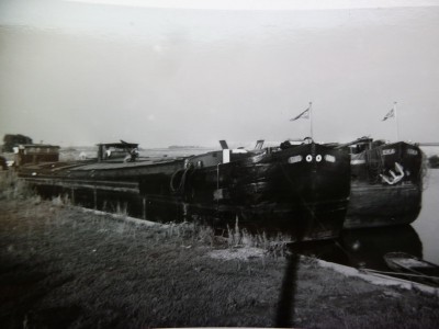 P1080842LEILA.jpg (96.28 Kio) Vu 10241 fois P1080842LEILA.jpg