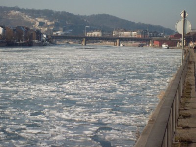 195.jpg (124.14 Kio) Vu 2677 fois 195.jpg