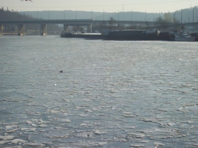 196.jpg (110.17 Kio) Vu 2677 fois 196.jpg