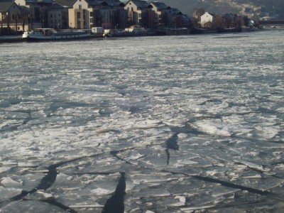 199.jpg (144.16 Kio) Vu 2677 fois 199.jpg