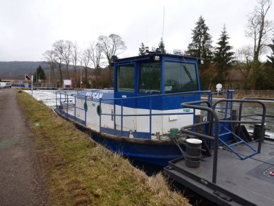 PELICAN - Méréville 16 février 2012 - (3).JPG (133.3 Kio) Vu 1758 fois PELICAN - Méréville 16 février 2012 - (3).JPG