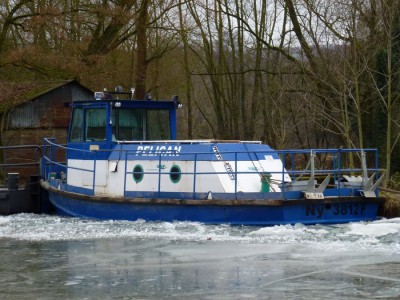 PELICAN - Méréville 16 février 2012 - (5).JPG (148.59 Kio) Vu 1758 fois PELICAN - Méréville 16 février 2012 - (5).JPG