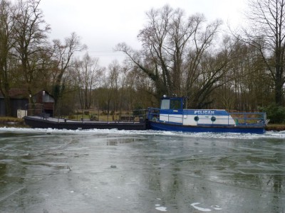 PELICAN - Méréville 16 février 2012 - (6).JPG (141.82 Kio) Vu 1758 fois PELICAN - Méréville 16 février 2012 - (6).JPG