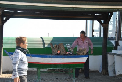 DSC_0087a.jpg (199.31 Kio) Vu 3551 fois DSC_0087a.jpg