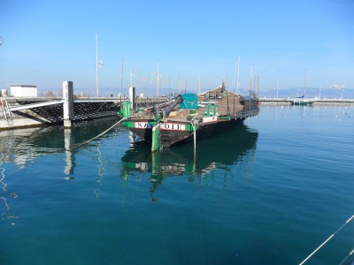 SAM_1160.JPG