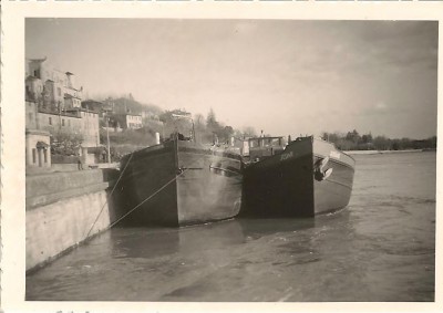 rhone lulu (2).jpg