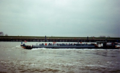 Boulonnais.jpg (209.26 Kio) Vu 5471 fois Boulonnais.jpg