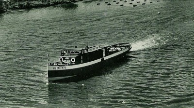 Guepe No 72 - 1a.jpg (155.43 Kio) Vu 1784 fois Guepe No 72 - 1a.jpg