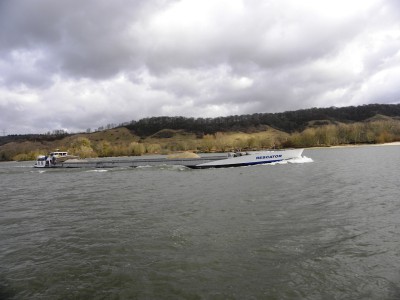 DSCN4569.JPG (200.86 Kio) Vu 3743 fois DSCN4569.JPG