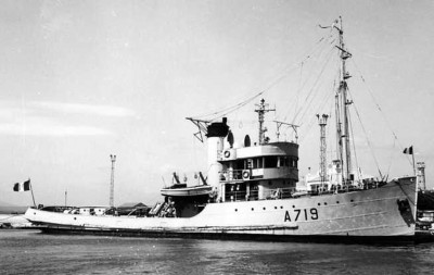 belier.jpg (224.11 Kio) Vu 4138 fois belier.jpg