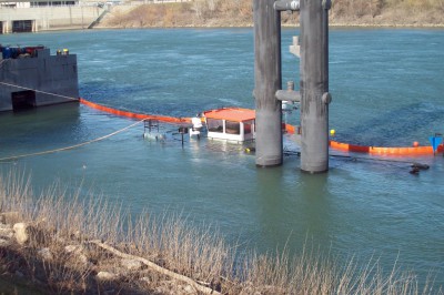 combattant2.JPG (245.59 Kio) Vu 11820 fois combattant2.JPG