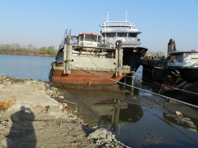 combattant3.JPG (240.99 Kio) Vu 11816 fois combattant3.JPG