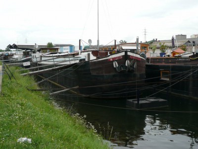 MIGNON SBD673 av.JPG