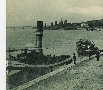 Frelon.jpg (119.33 Kio) Vu 2341 fois Frelon.jpg