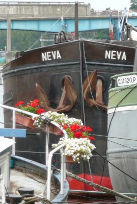 NEVA av.JPG