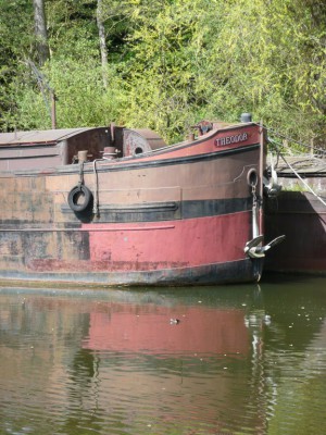 THEODOR 2 av dét (Copier).JPG (173.43 Kio) Vu 7019 fois THEODOR 2 av dét (Copier).JPG