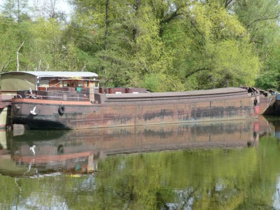 THEODOR 8 ar (6) (Copier).JPG (300.53 Kio) Vu 7046 fois THEODOR 8 ar (6) (Copier).JPG