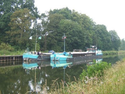 2007_0606x20014Elvis.JPG (154.88 Kio) Vu 11362 fois 2007_0606x20014Elvis.JPG