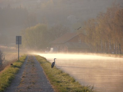 P4030083AMBIANCE.jpg (111.93 Kio) Vu 8826 fois P4030083AMBIANCE.jpg