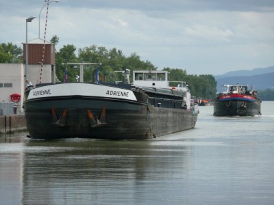 ADRIENNE - Kembs - août 2008 (019).JPG