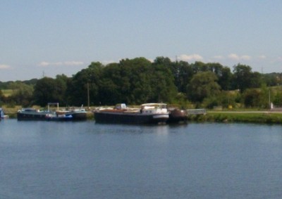 IMGP2283 Roger.jpg (89.37 Kio) Vu 6177 fois IMGP2283 Roger.jpg