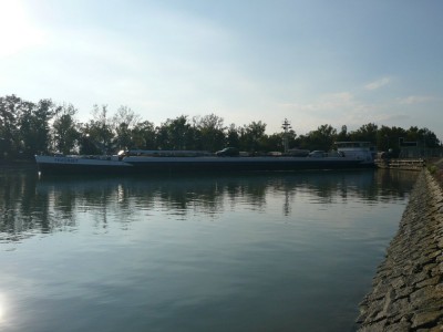 FAVORIET - Ottmarsheim - septembre 2008 (037).JPG (109.57 Kio) Vu 1452 fois FAVORIET - Ottmarsheim - septembre 2008 (037).JPG