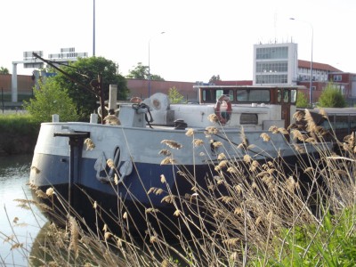 DSCF6213 [].JPG