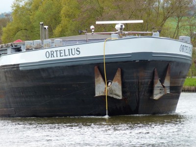 ORTELIUS - Pagny-sur-Moselle - avril 2012 (030).JPG