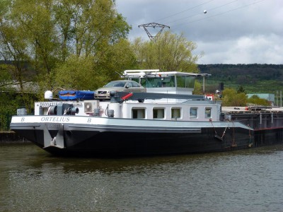 ORTELIUS - Pagny-sur-Moselle - avril 2012 (037).JPG (176.09 Kio) Vu 2515 fois ORTELIUS - Pagny-sur-Moselle - avril 2012 (037).JPG