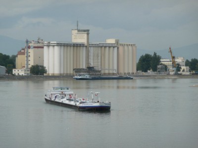 RP RHEINFELDEN - Vogelgrün - septembre 2008 (017).JPG (90.43 Kio) Vu 927 fois RP RHEINFELDEN - Vogelgrün - septembre 2008 (017).JPG