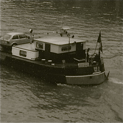 seal neal_2_2.jpg