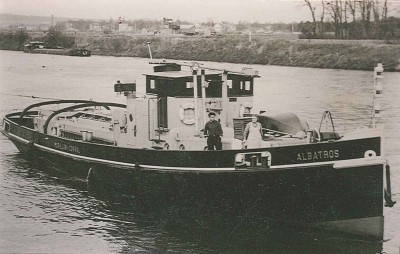 Albatros.jpg