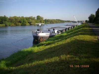 IMGP2667.JPG