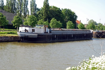 DSC_0458.jpg (386.21 Kio) Vu 4171 fois DSC_0458.jpg