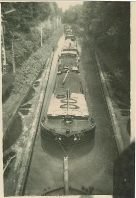 méduse souterrain Vendhuile 001.jpg