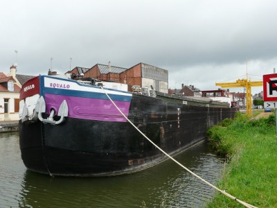squalo-av.JPG