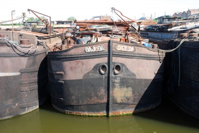 DSC_0442.jpg