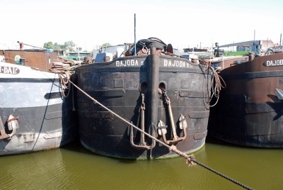 DSC_0439.jpg (265.04 Kio) Vu 3729 fois DSC_0439.jpg