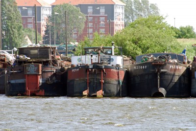 DSC_0648.jpg (382.38 Kio) Vu 3688 fois DSC_0648.jpg