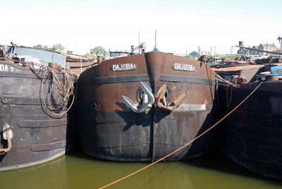 DSC_0440.jpg (242.77 Kio) Vu 7027 fois DSC_0440.jpg