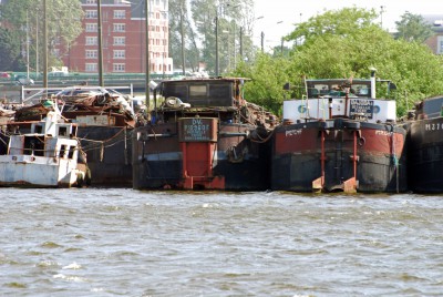 DSC_0650.jpg (360.52 Kio) Vu 2574 fois DSC_0650.jpg