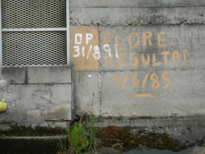 DSCN0345.JPG (360.64 Kio) Vu 4416 fois DSCN0345.JPG