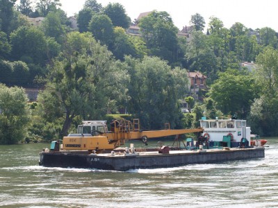 P6141084 (Copier).JPG