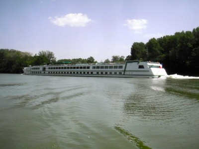 Camargue.JPG