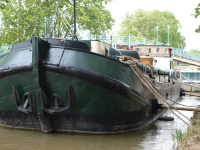 P5080953 (Copier).JPG (262.19 Kio) Vu 3600 fois P5080953 (Copier).JPG