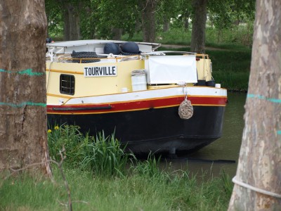 P5081001 (Copier).JPG (245.12 Kio) Vu 6765 fois P5081001 (Copier).JPG